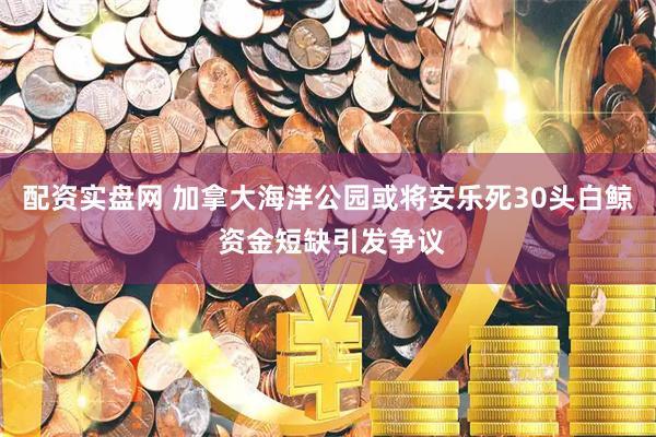 配资实盘网 加拿大海洋公园或将安乐死30头白鲸 资金短缺引发争议